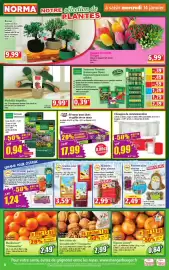 Norma folder week 3 Pagina 4