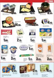 Folleto FROIZ Página 11