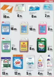 Folleto FROIZ Página 13