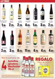 Folleto FROIZ Página 8