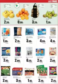 Folleto FROIZ Página 9