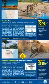 Lidl Reisen Prospekt Seite 53