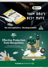 Woolworths catalogue Page 101
