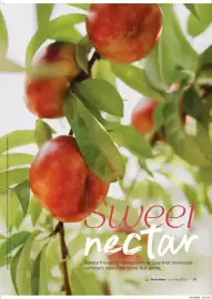 Woolworths catalogue Page 23