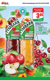 Dino gazetka tydzień 3 Strona 3