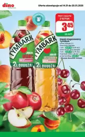 Dino gazetka tydzień 3 Strona 3