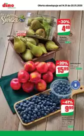 Dino gazetka tydzień 3 Strona 7