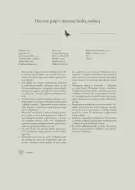 Makro gazetka Strona 41