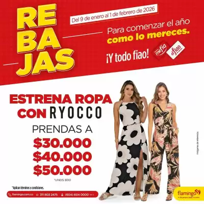 Catálogo Flamingo (válido hasta 1-02)