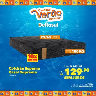 Folheto Deltasul (válido até 31-01)