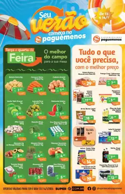 Catálogo Supermercados Pague Menos (válido até 14-01)
