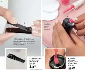 Catálogo Avon Página 111