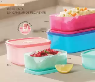 Catálogo Avon Página 14