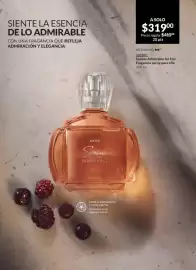 Catálogo Avon Página 117