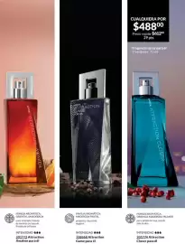 Catálogo Avon Página 69