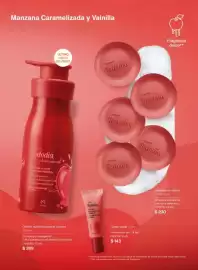 Catálogo Natura Página 105