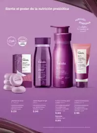 Catálogo Natura Página 107