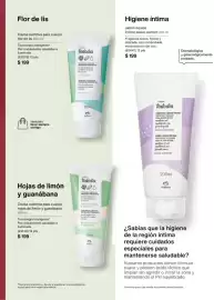 Catálogo Natura Página 115