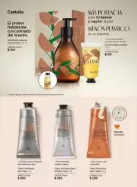 Catálogo Natura Página 120