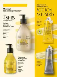 Catálogo Natura Página 121