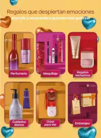 Catálogo Natura Página 13