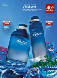 Catálogo Natura Página 32