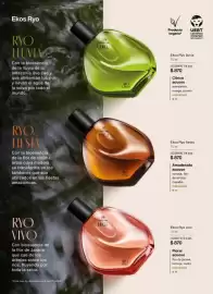 Catálogo Natura Página 42