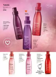 Catálogo Natura Página 47