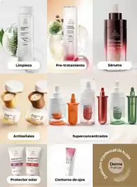 Catálogo Natura Página 52