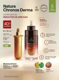 Catálogo Natura Página 53