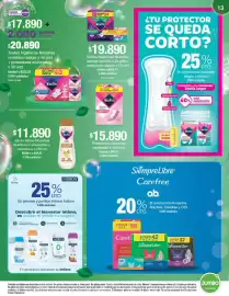 Catálogo Jumbo Página 13
