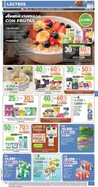 Catálogo Jumbo Página 3