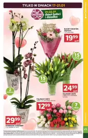 Stokrotka gazetka tydzień 3 Strona 7