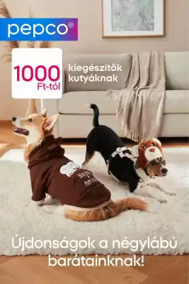 Pepco akciós újság (érvényes eddig: 20-01)
