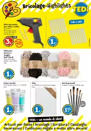 Volantino Tedi Pagina 15