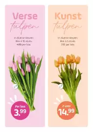 Coppelmans folder Pagina 5