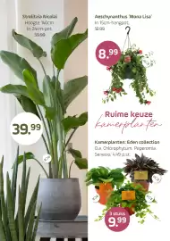 Coppelmans folder Pagina 6