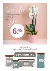 Coppelmans folder Pagina 7