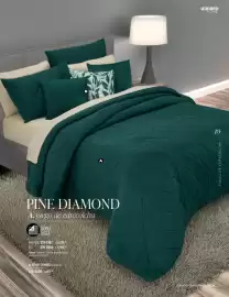 Catálogo Andrea Página 19