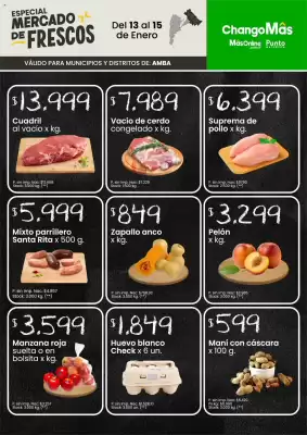 Catálogo Punto Mayorista (válido hasta 16-01)