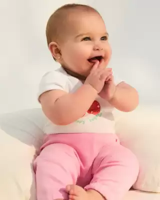 Catálogo Grisino (válido hasta 20-01)