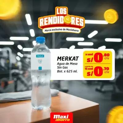 Catálogo MaxiAhorro (válido hasta 31-01)