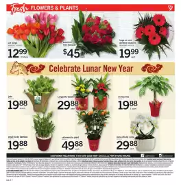 Loblaws flyer week 3 Page 9