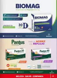 Catálogo Anika Shop Página 29