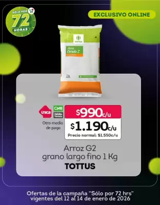 Catálogo Tottus (válido hasta 14-01)