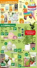 Thomas Philipps Prospekt woche 4 Seite 4