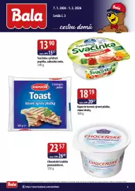 ČEPOS leták Strana 2