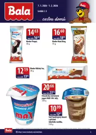 ČEPOS leták Strana 3