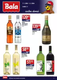 ČEPOS leták Strana 7