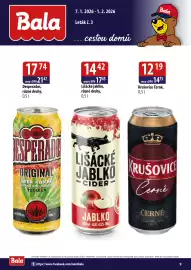 ČEPOS leták Strana 9